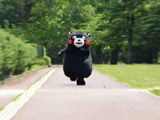 咱们 ready go