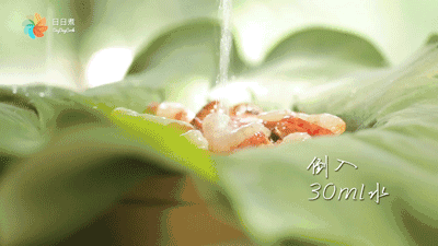 浓夏吃荷叶,是种沁人心脾的缠绵