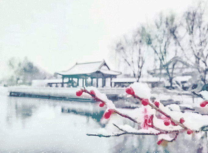 最多的还是晒雪 朋友圈里各式各样的雪景 真心有种应接不暇的赶脚 但
