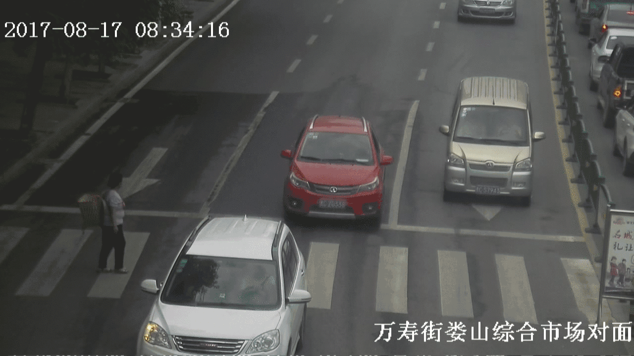 创文曝光丨礼让行人真的很难吗?