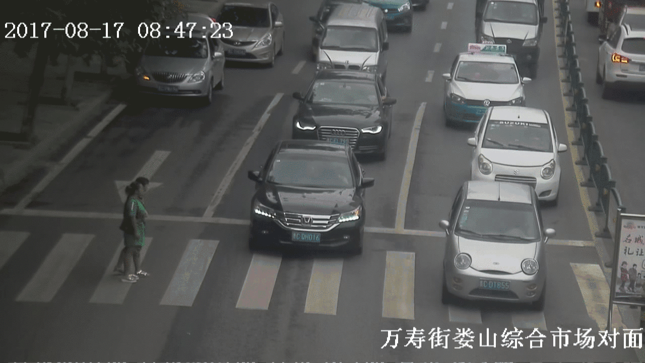 创文曝光丨礼让行人真的很难吗?