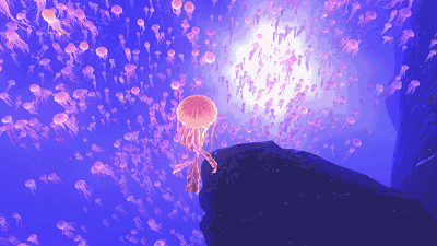 打造洛阳璀璨星辰大海