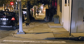 【掌上萍乡】笑多了会怀孕—亲爱的,安静点好吗?-怀孕期