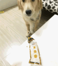 【掌上萍乡】笑多了会怀孕—亲爱的,安静点好吗?-怀孕期