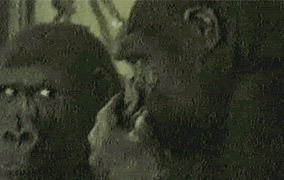 【掌上萍乡】笑多了会怀孕—妹纸你这样容易招仇恨啊!-怀孕期