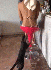 【掌上萍乡】笑多了会怀孕—妹纸你这样容易招仇恨啊!-怀孕期