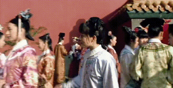 话说,你们真的不觉得这个设定和《甄嬛传》异曲同工吗.