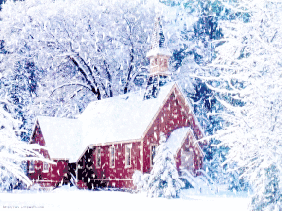 感动|冬天里的暖阳