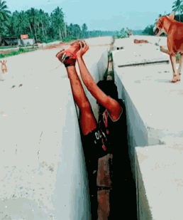 gif特辑阿三哥玩的花样是越来越野了