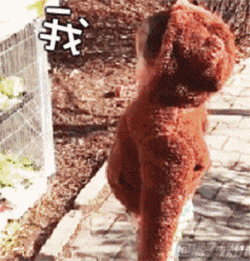 冷冷寒冬 有什么比泡温泉更享受的呢!