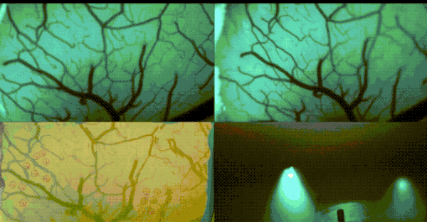 美利坚又创造了一个人间奇迹
