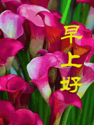 早晨好动态图片大全 早上好动态图