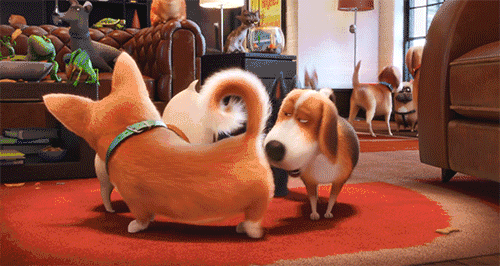 用漫画记录老婆怀孕产子的细节,让人笑着流泪