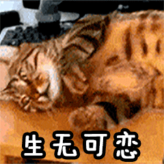 今明两天暴雨连击,预警频发!沈阳这个伏天