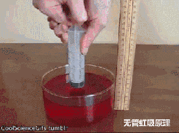 v孩子中的孩子,让物理感受物理的a孩子!初中生美女走光图片