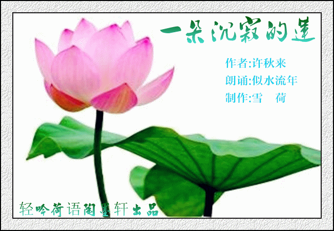 【似水流年之声】似水流年诵许秋来《一朵沉寂的莲》
