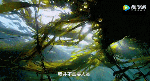 639_346gif 动态图 动图