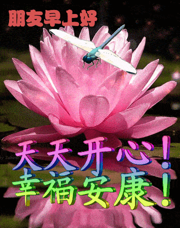 2021年8月10日星期二早上好问候祝福动态表情图片周二最新早安问候语