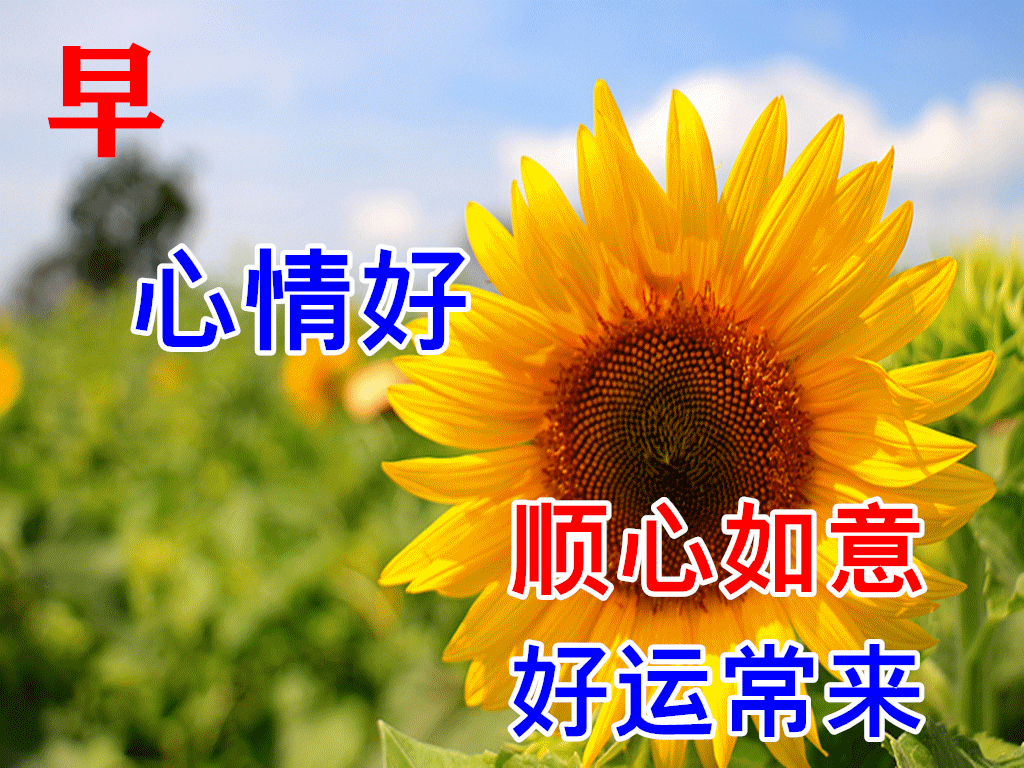 10月10日最新早上好动态表情图片大全秋天早上好祝福语句子