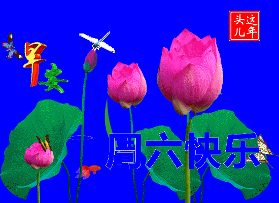 8张漂亮周末快乐动画表情图片包2021最新周末愉快早上好问候祝福动态