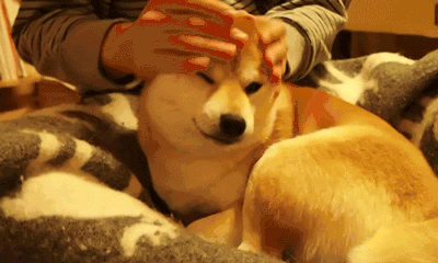 热恋中的人,聊天记录都像两个智商不够的小孩!狗粮是糖,甜到忧伤.