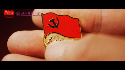 照亮前进的方向党徽光灿灿对标先进争当榜样亮出身份 亮出形象堂堂正