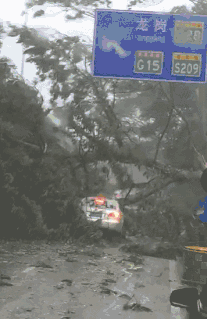 這場超級臺風，暴露了中國經濟四個意味深長的問題！