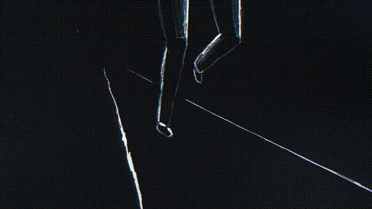 黑色圣经动态图 黑色圣经相关