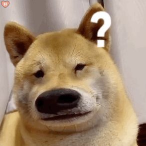 可爱微信聊天表情包你该忙忙你的吧