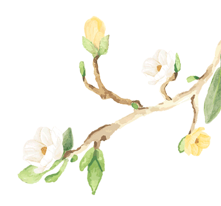 寻芳觅趣正当时，不负春光踏歌行