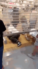 ����һ�Ⱥܻ���