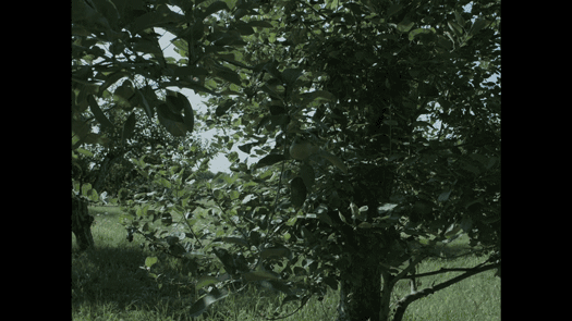 很多人只是说说而已,但也有不少人付诸了行动,比如纽约时尚摄影师