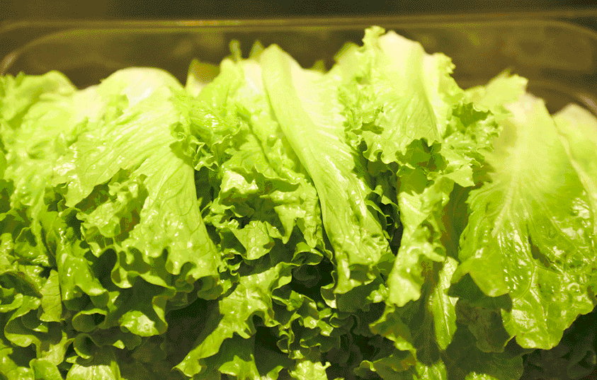 强烈谴责仙桃这家店,连续四天33元/位,目测又要让人排队排到腿软!