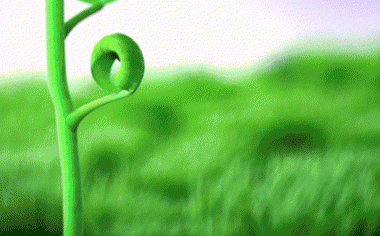 发芽 绿色 绿色植物 嫩芽 嫩叶 新芽 植物 桌面 380_236 gif 动态图