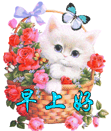 表情包:早安表情包玫瑰花系列