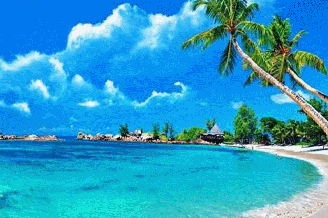 或许你向往的是一望无垠的塞班岛 钟情于热情好客的夏威夷 却对跳起