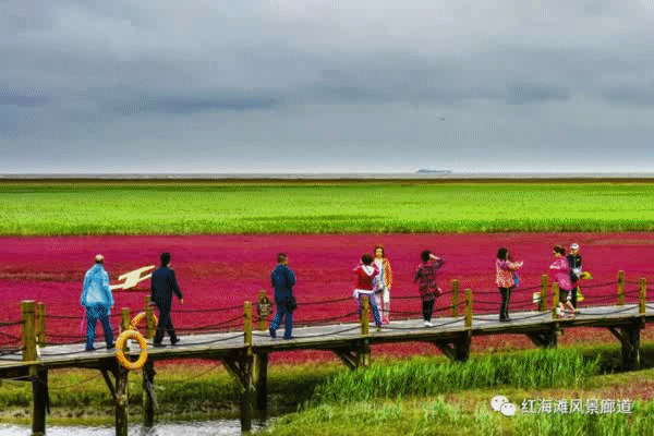 地图游盘锦|七夕节,来盘锦拯救"秘笈汪"!这份独家深度海南自驾游攻略单身图片