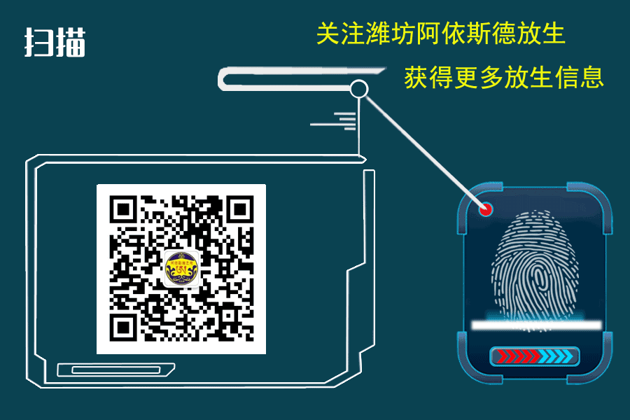 5-15-5-21-freewechat