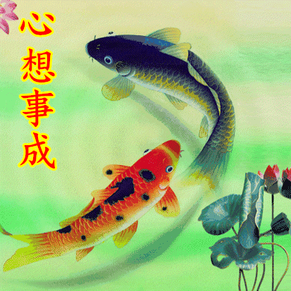 看到的都是有福之人!