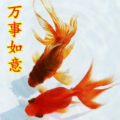 为你带来财运与福气 祝愿朋友们 招财进宝,事业腾飞 送你最美的金鱼