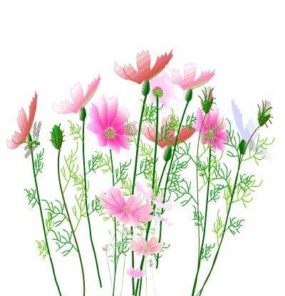 何不趁着这个灵动的春景, 到