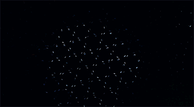 几千个发光六角形单元组成的仿生