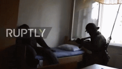 482_275gif 动态图 动图