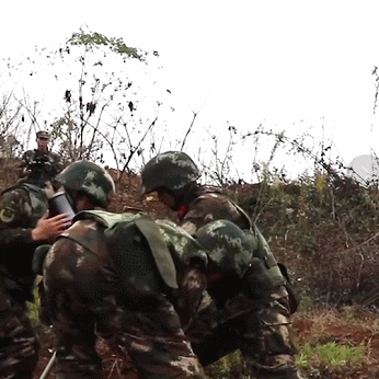 两天前中国军网官方抖音号发布了一则武警部队炮兵训练的短视频,点赞