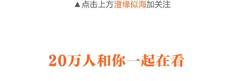 这都可以（海角论坛改名字了吗）“海角论坛”，接力 | 澄海包子店老板寻子5年改名“寻子包子店”！吴铭淞你到底在哪？，海角论坛改名字了吗，短剧，插图