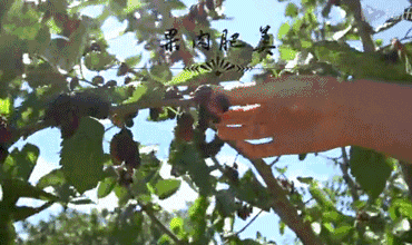 徐州这个地方一天玩个来回刚刚好！还有漂流、采摘、骑马和龙虾节在向你招手