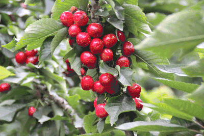 徐州这个地方一天玩个来回刚刚好！还有漂流、采摘、骑马和龙虾节在向你招手
