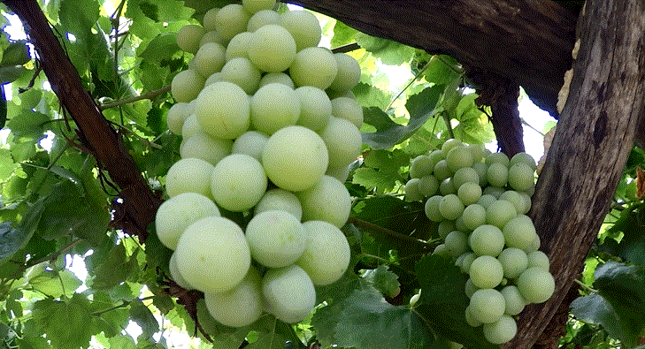 徐州这个地方一天玩个来回刚刚好！还有漂流、采摘、骑马和龙虾节在向你招手