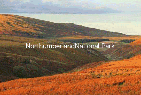 旅行 | 再不動身這些美景就要被大批遊客攻陷了！