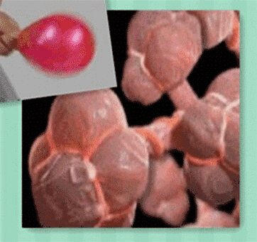 呼吸机是怎么给压力的从概念到原理：学习呼吸机从这篇文章开始_https://www.jmylbn.com_新闻资讯_第4张